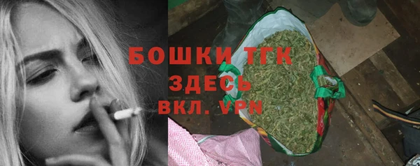 прущие грибы Магас