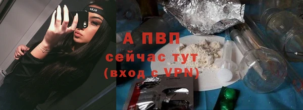 крисы Лабытнанги