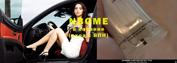 прущие грибы Магас