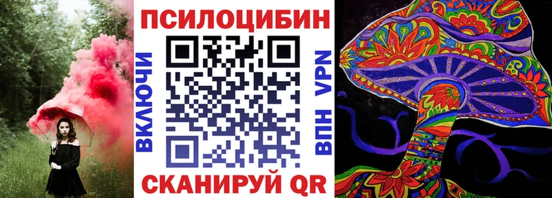 купить наркотик  Сысерть  Псилоцибиновые грибы Psilocybe 